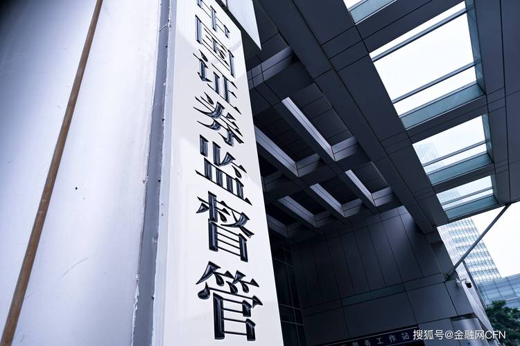 资本市场从严监管_上市公司数量去哪里看_2024年上市公司立案调查