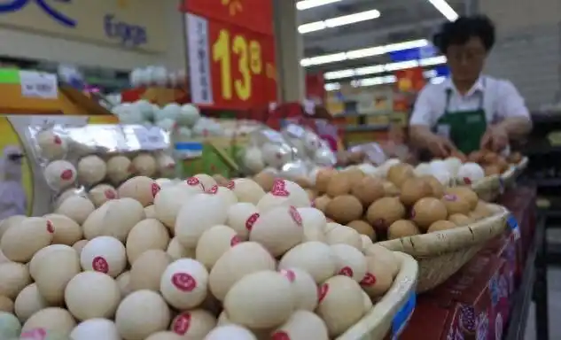 2025鸡蛋价格走势图_鸡蛋市场产能过剩_鸡蛋价格低迷