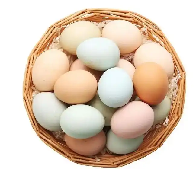 2025鸡蛋价格走势图_鸡蛋价格低迷_鸡蛋市场产能过剩