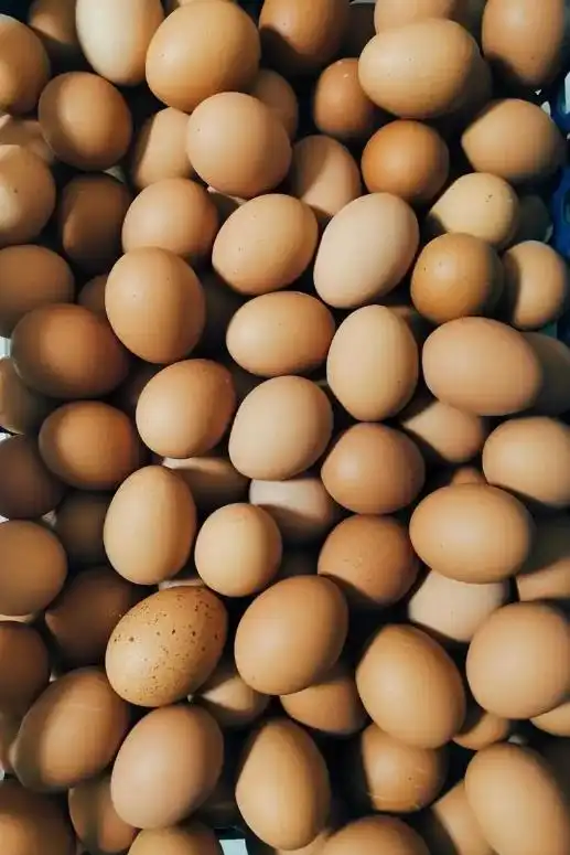 2025鸡蛋价格走势图_鸡蛋价格低迷_鸡蛋市场产能过剩