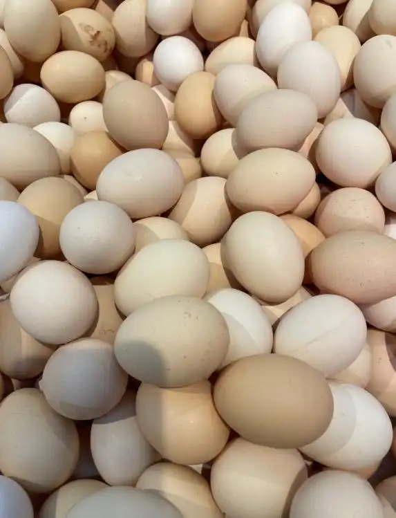 鸡蛋市场产能过剩_2025鸡蛋价格走势图_鸡蛋价格低迷