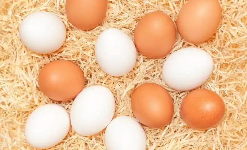 鸡蛋价格低迷_鸡蛋市场产能过剩_2025鸡蛋价格走势图