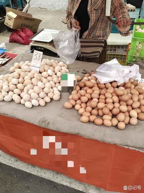 2025鸡蛋价格走势图_蛋价低迷市场现状_鸡蛋价格下跌原因分析