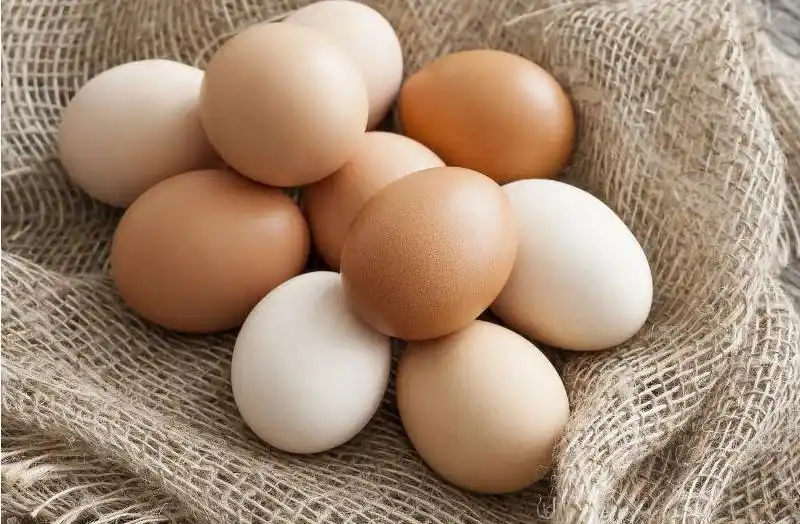 蛋价低迷市场现状_2025鸡蛋价格走势图_鸡蛋价格下跌原因分析