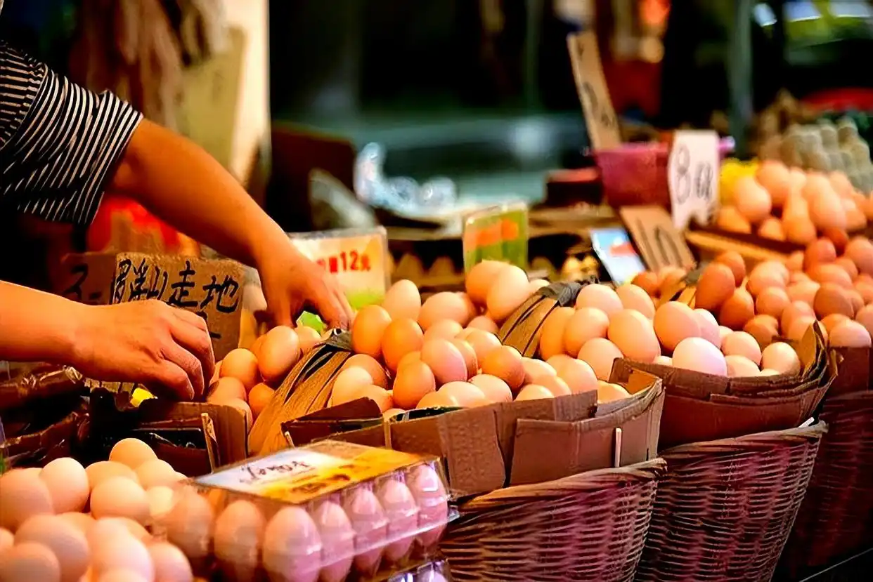 鸡蛋价格行情_兽药超标鸡蛋影响_2025鸡蛋价格走势图