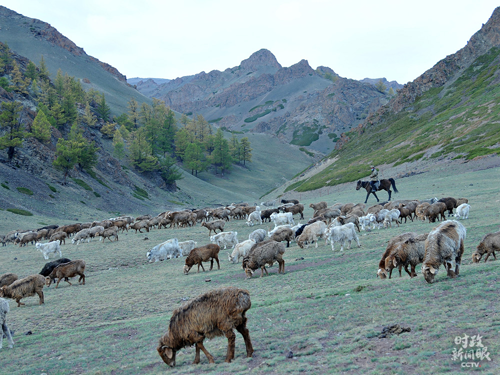 新时代党的治疆方略_新疆社会稳定和长治久安_对新疆局势发展的认识