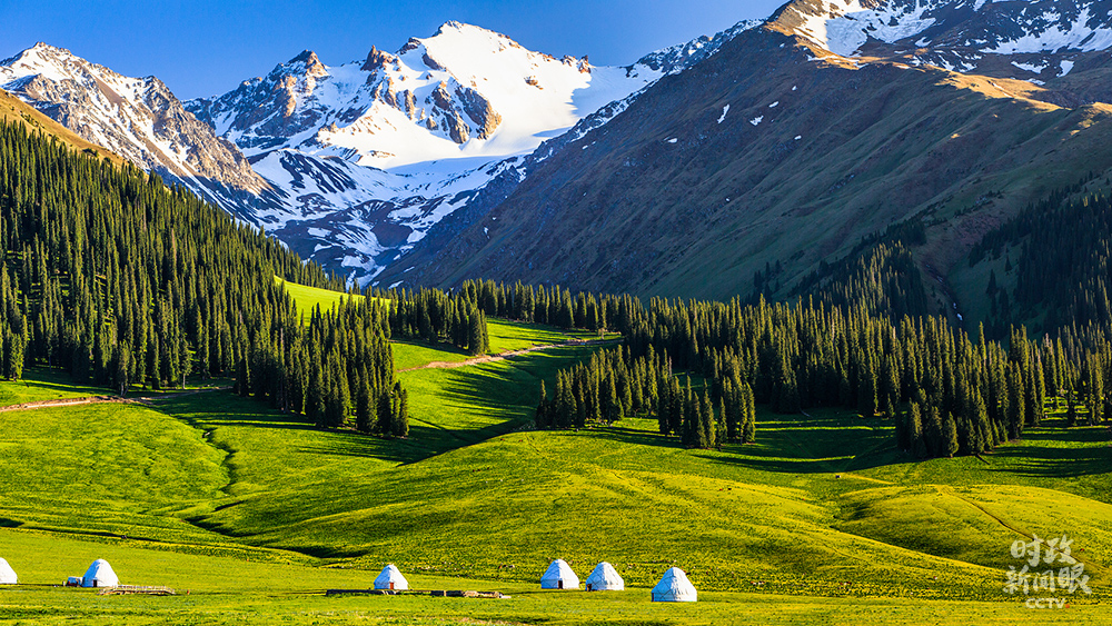 对新疆局势发展的认识_新时代党的治疆方略_新疆社会稳定和长治久安
