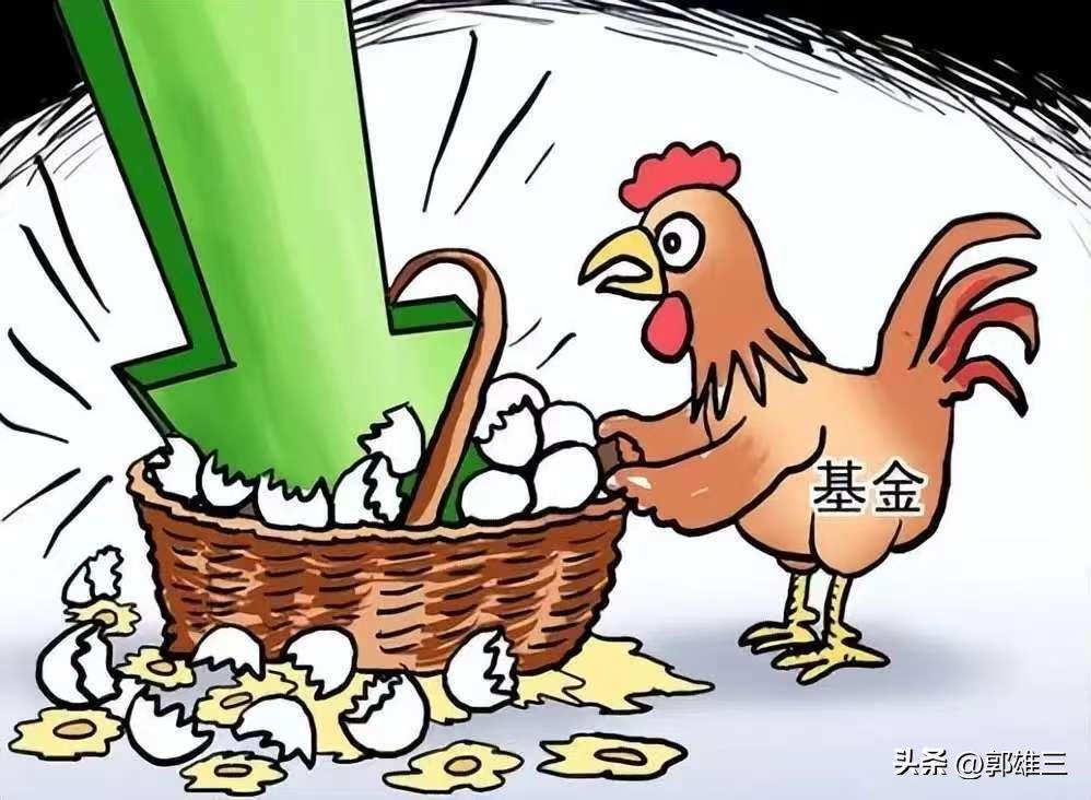 定投基金5年收益分析_什么叫股票型基金定投_每月定投1万收益计算