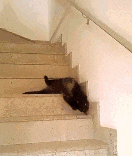 白金期货价格走势图_黄金ETF投资_大宗商品基金