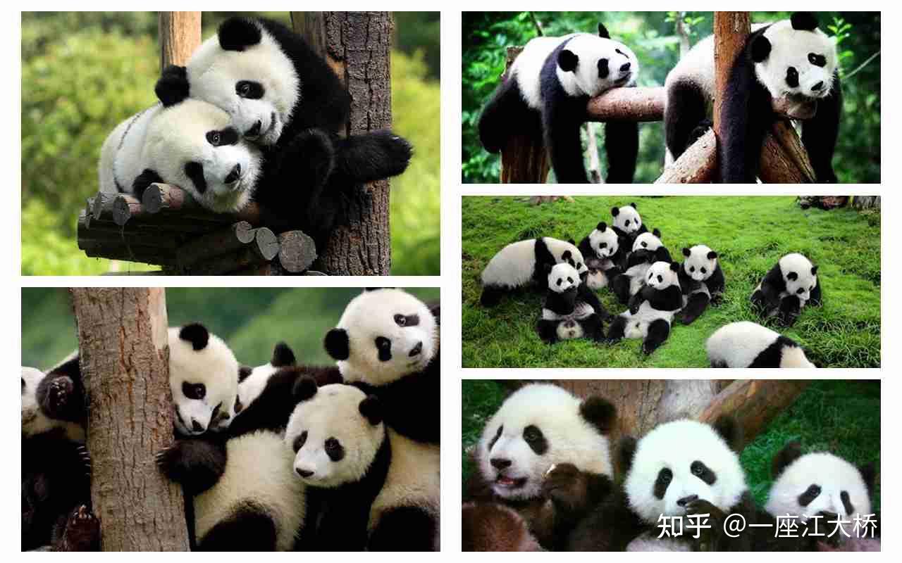 成都华阳旅行社_川西旅游路线规划_四川旅游攻略