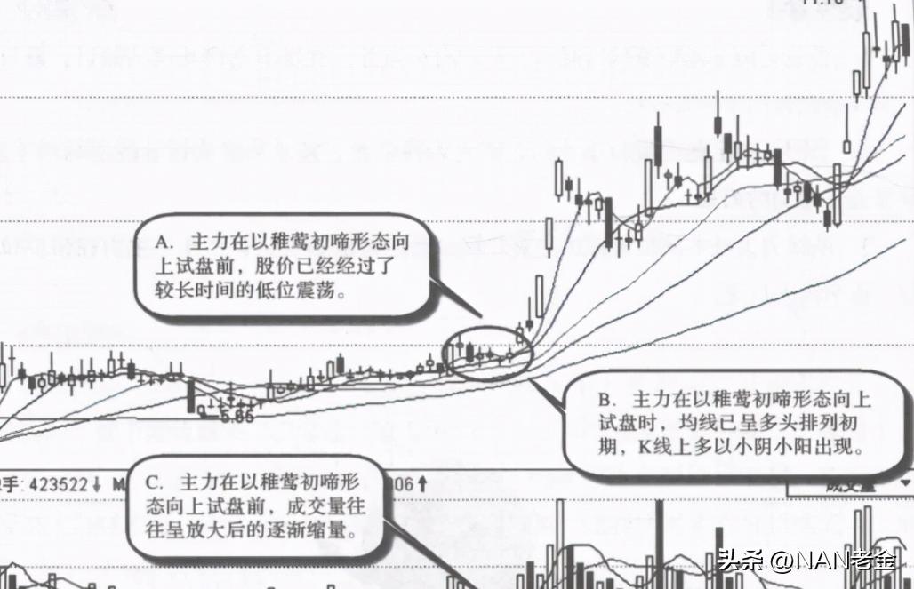 主力操盘逻辑_炒股趋势型指的是什么意思嘛_长上影线试盘