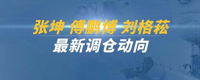 张坤重仓股变动_买基金买股票_张坤基金三季报