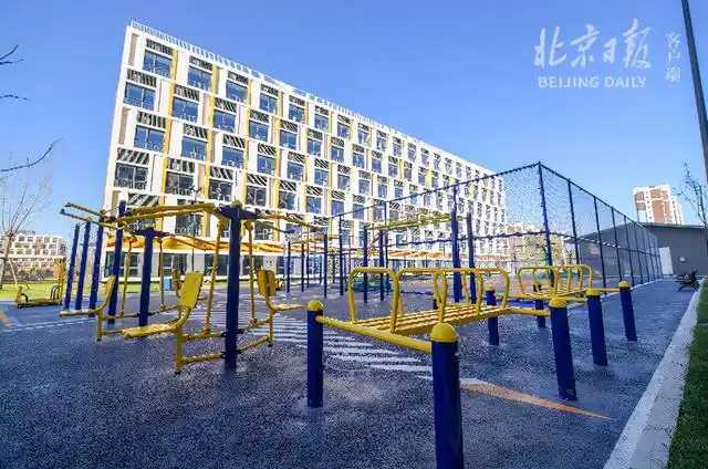 租售同权板块是什么意思_保障性租赁住房新物种_集体土地租赁住房