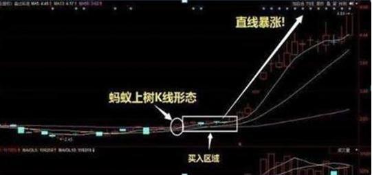 大股东减持原因分析_缓步下跌股票_投资市场初段技艺中段智慧高段人性道德