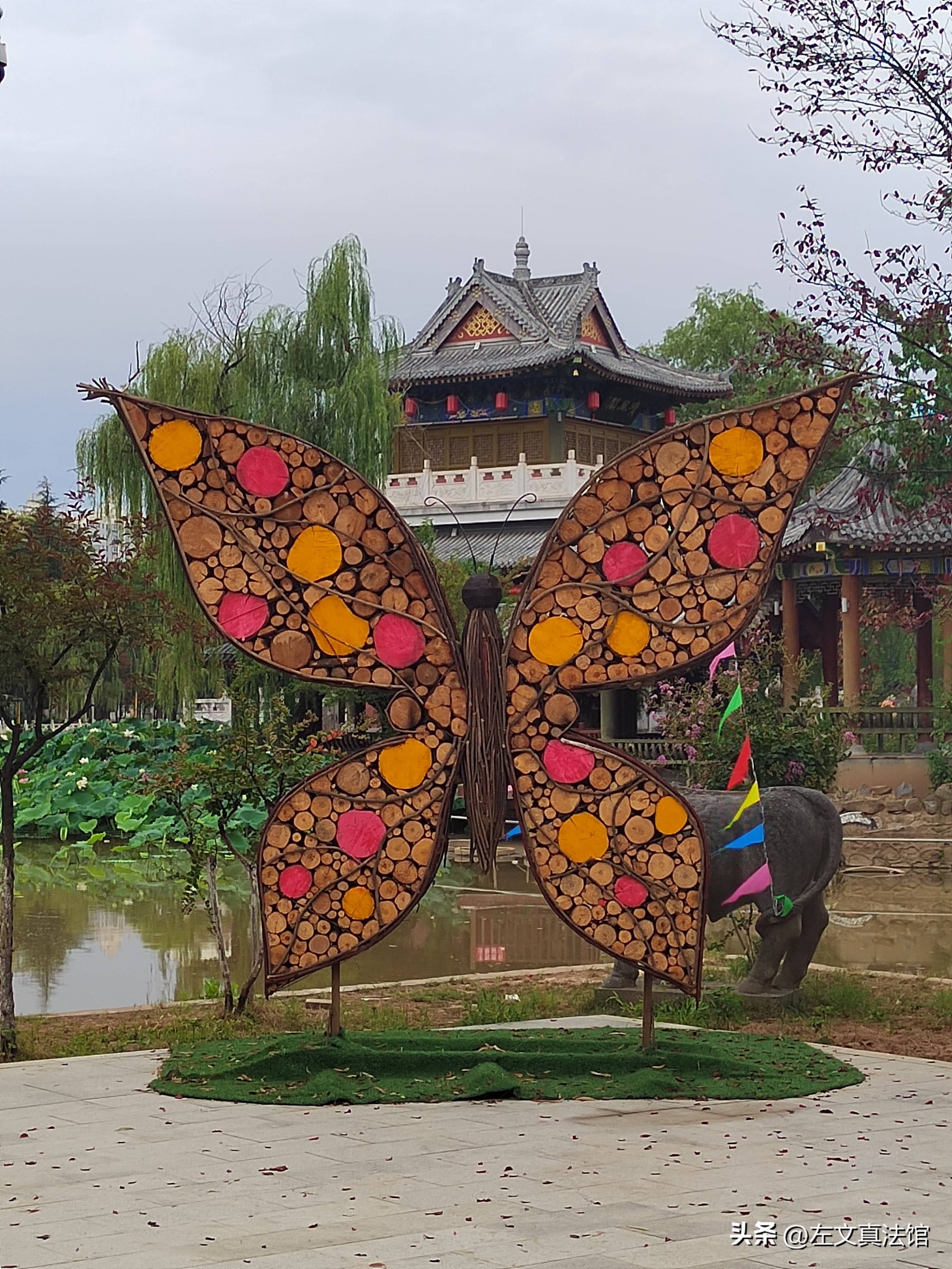 中国保险法出台时间_新型农村社会养老保险试点启动时间_新农保制度建立过程