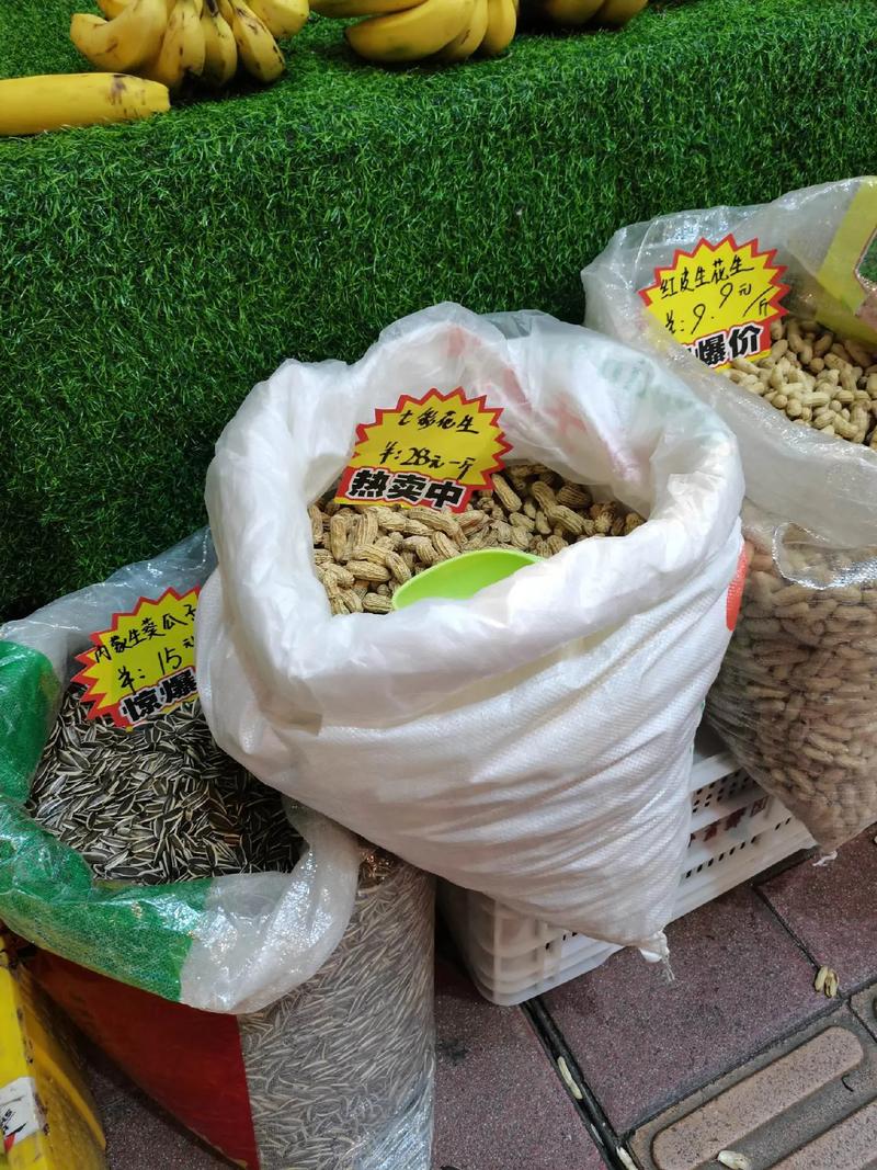 2026年花生行情预测_牛奶花生市场价格_七彩花生种植利润