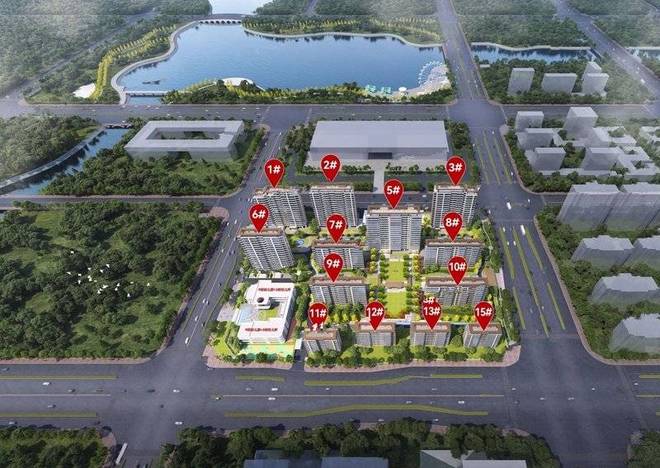 合肥滨湖区新房价格企稳2.3万每平米_2026房价走势图_滨湖区改善楼盘推荐